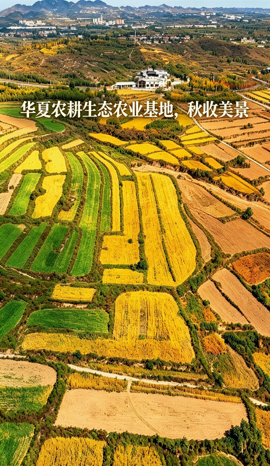image004 image004
